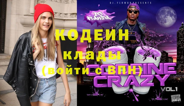 эйфоретик Гусь-Хрустальный