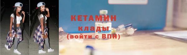 стаф Вязьма